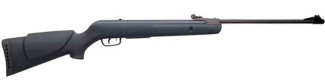 Gamo Shadow 1000