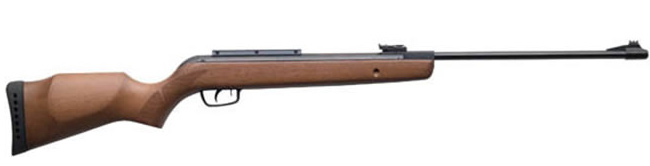 CARABINA GAMO HUNTER 440