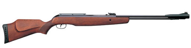 Gamo CFX Royal